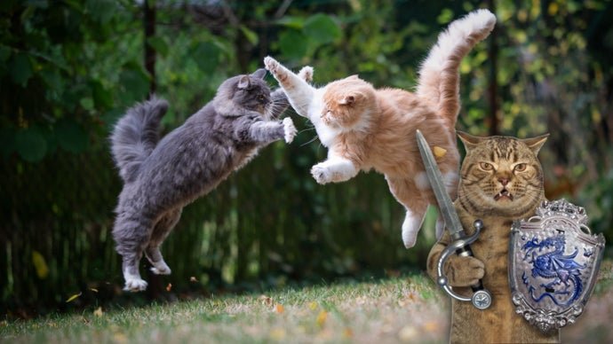 Cosy Cat Breeding and Vampire Adventures: What the Team Has Been Playing This Week